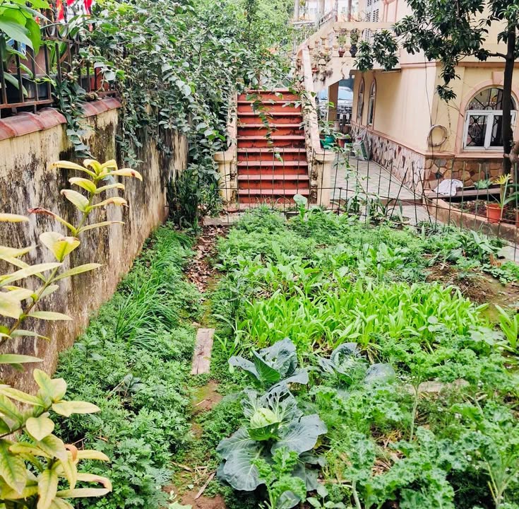 Đất Thạch Bàn 48m² giá 6.528 triệu - Ô tô đỗ cửa, ngõ thoáng sáng!