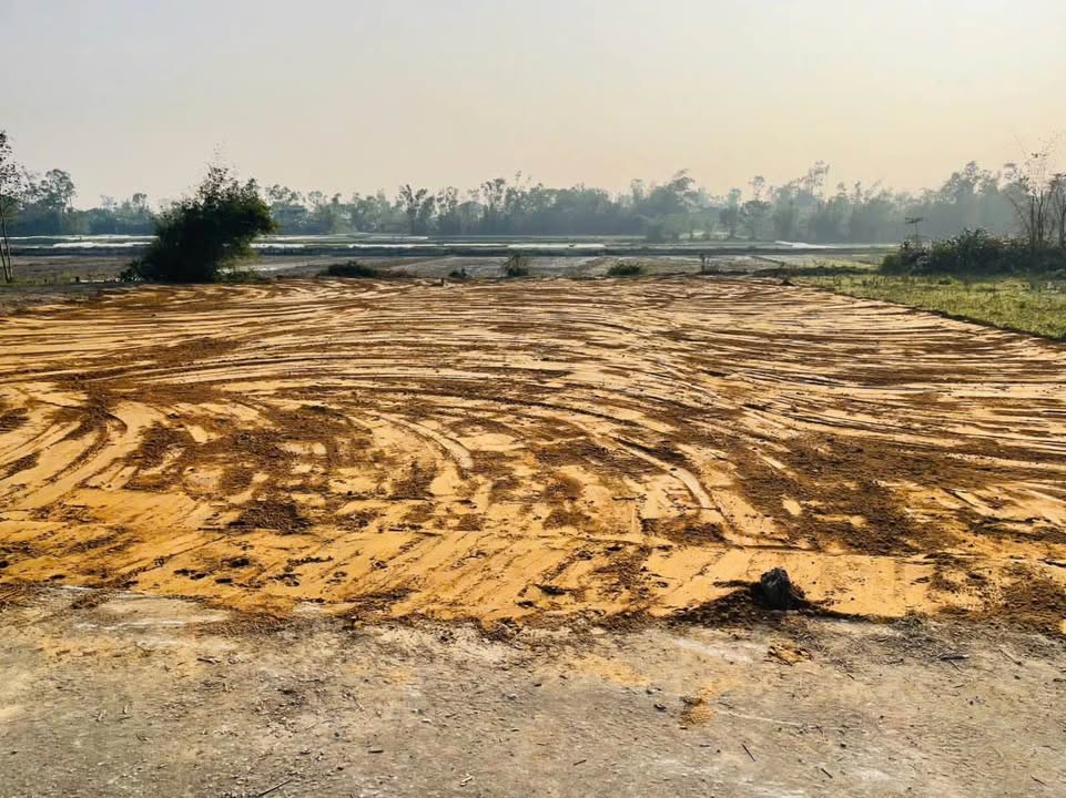 Đất nền Xóm 4 Nghi Thịnh 159m² giá 1 tỷ - Sổ hồng chính chủ, sang tên nhanh chóng!