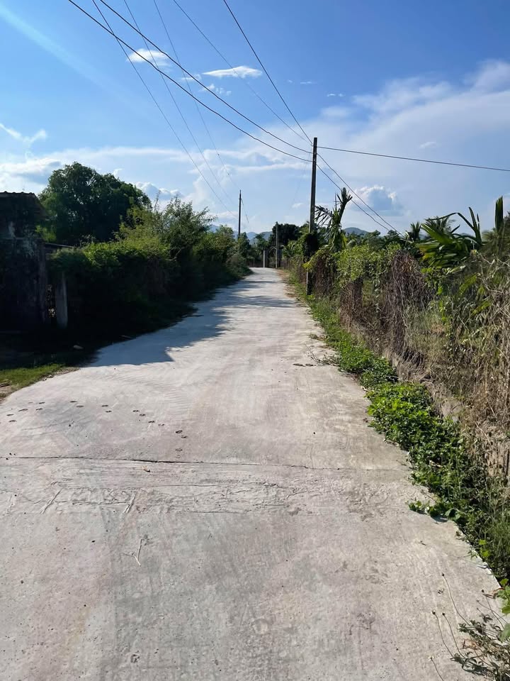 Đất sào tại xã Hàm Hiệp, huyện Hàm Thuận Bắc 2000m² giá 2 tỷ - Cơ hội đầu tư hấp dẫn!