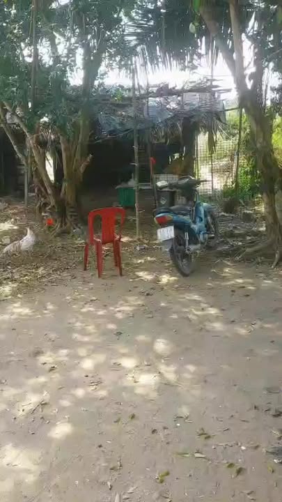 Đất vườn Hiệp Phước Nhà Bè 3000m² - Cơ hội đầu tư tuyệt vời!