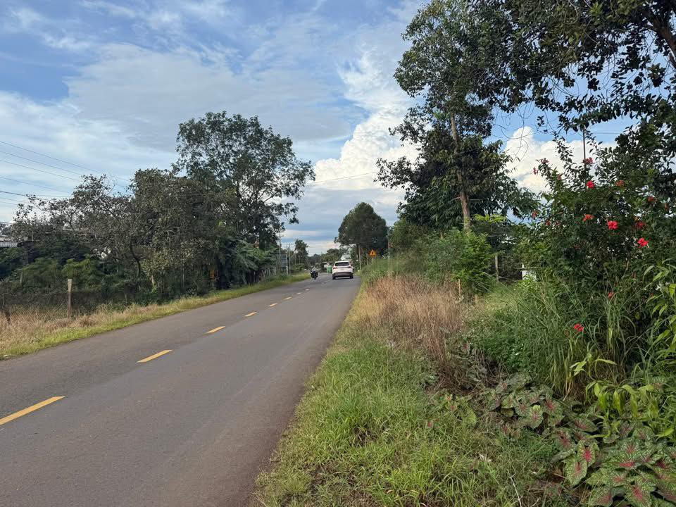 Đất mặt tiền Đường DT Bù Đăng 4ha - Đầu tư kho xưởng lý tưởng!