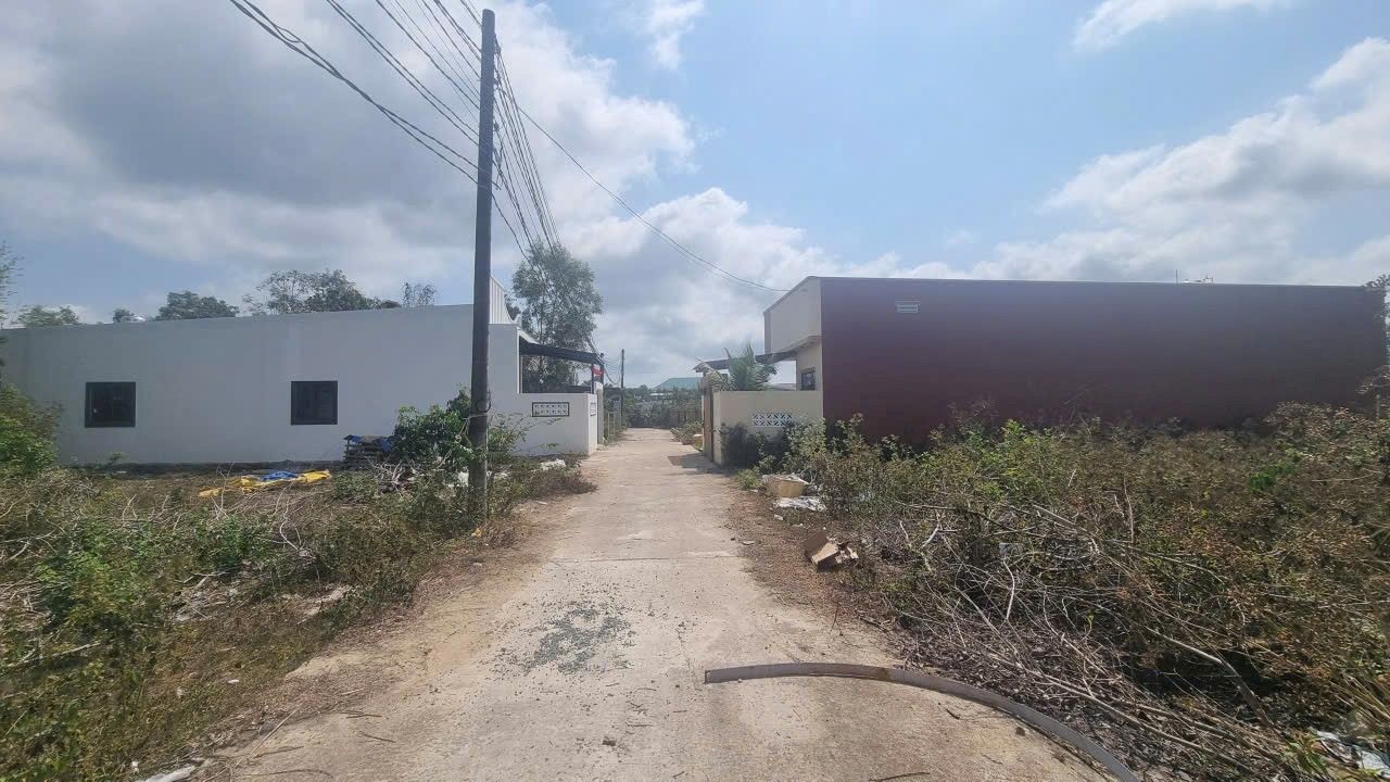 Đất nền Cây Thông Phú Quốc 118m² giá 750 triệu - Cơ hội đầu tư lý tưởng!