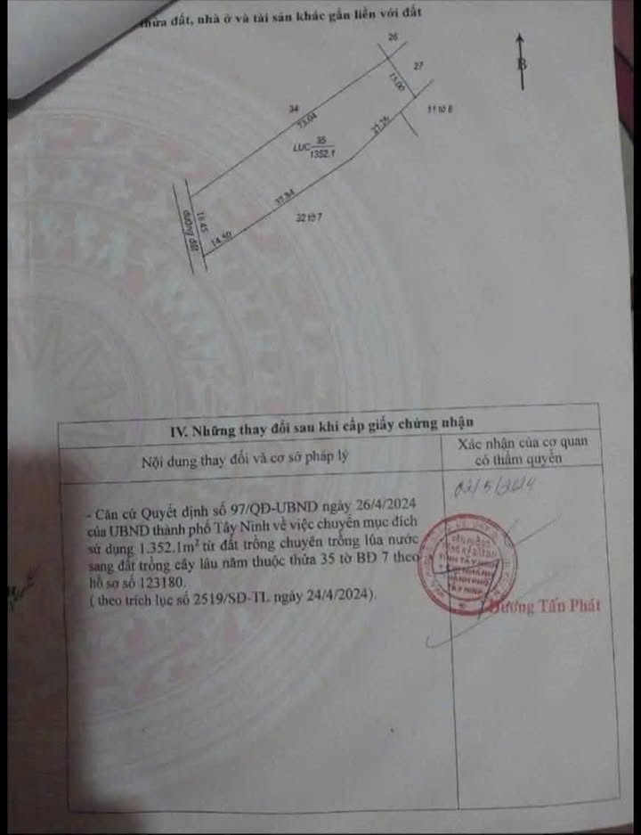 Đất vườn Giồng Cà, Tây Ninh 1352m² giá 550 triệu - Đang cho trái dừa