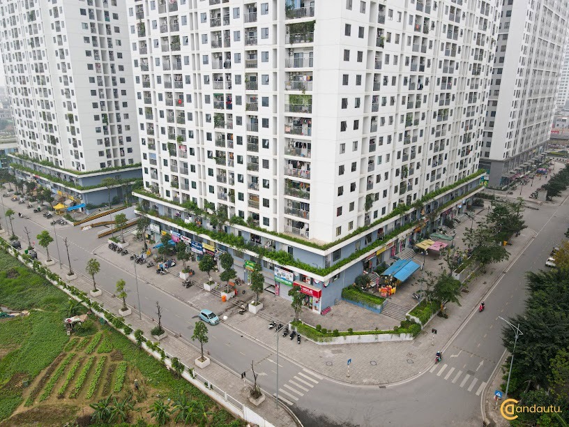 Shophouse ECOHOME 3 Đông Ngạc 68m² giá 3.641 tỷ - Cơ hội đầu tư tuyệt vời!