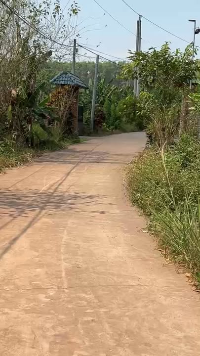 Đất nền 570m² tại xã Tân An, Đồng Nai - Giá chỉ 1.4 tỷ, lô góc 2 mặt đường!