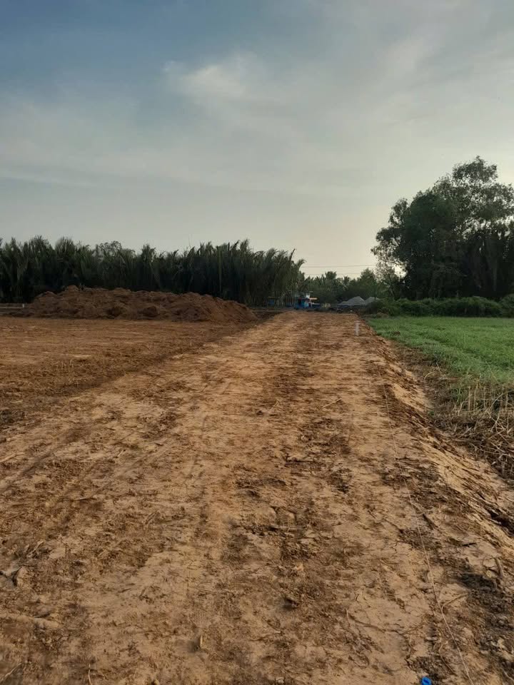 Đất nền 350m² tại xã Đại Tâm, huyện Mỹ Xuyên - Giá chỉ 350 triệu VND!