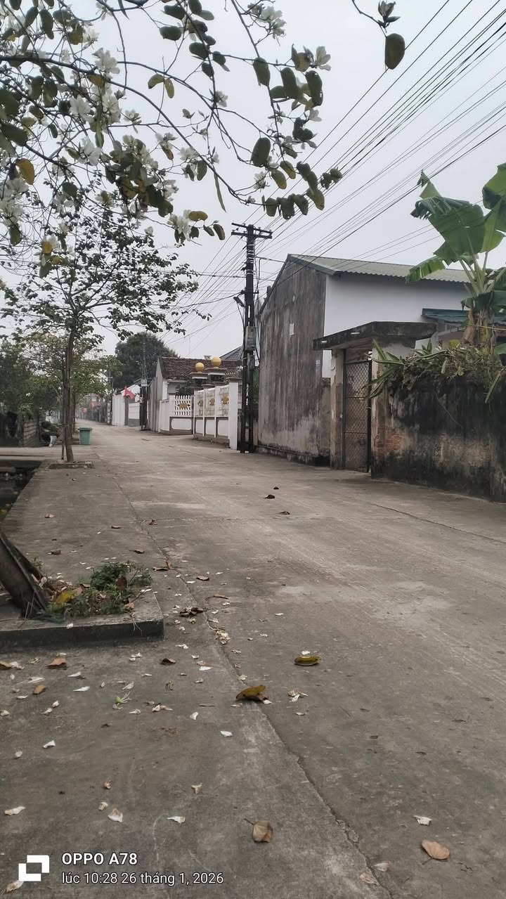 Đất nền Lộc Tân, Hậu Lộc 250m² giá thỏa thuận - Cơ hội đầu tư hấp dẫn!