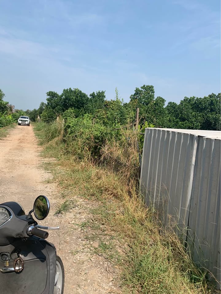 Đất vườn 4.500m² tại xã Vĩnh Châu, Châu Đốc - Giá tốt cho nhà đầu tư!