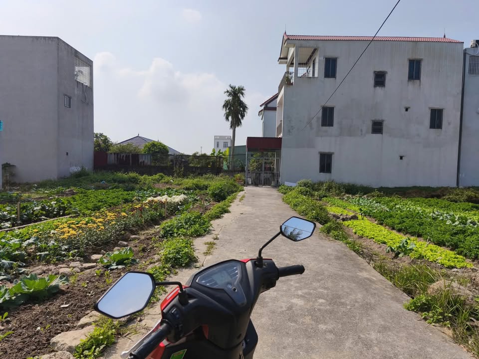 Nhà riêng Phường Hải Thành 61.7m² giá 1.5 tỷ - Ô tô đỗ cửa ngay!