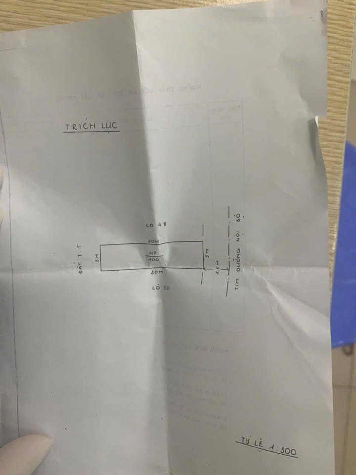 Đất nền Cái Tắt, An Đồng, Hải Phòng 100m² giá chỉ 4.XX tỷ - Đường thoáng ô tô đỗ cửa!