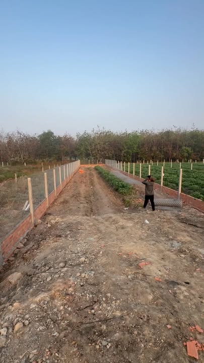 Đất nền mặt tiền đường lớn tại Tây Ninh, 420m² giá 670 triệu - Tiềm năng đầu tư cao!