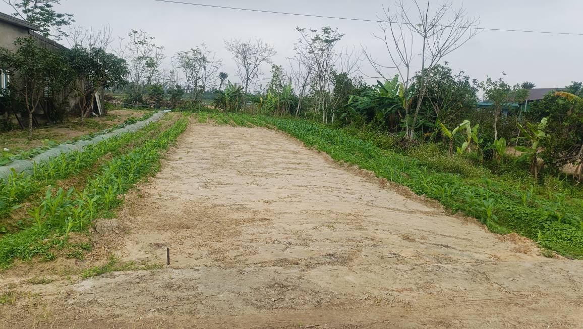 Đất nền Trường Phú - Nghi Trung, 125m² chỉ 1.8 tỷ - Cơ hội đầu tư tuyệt vời!