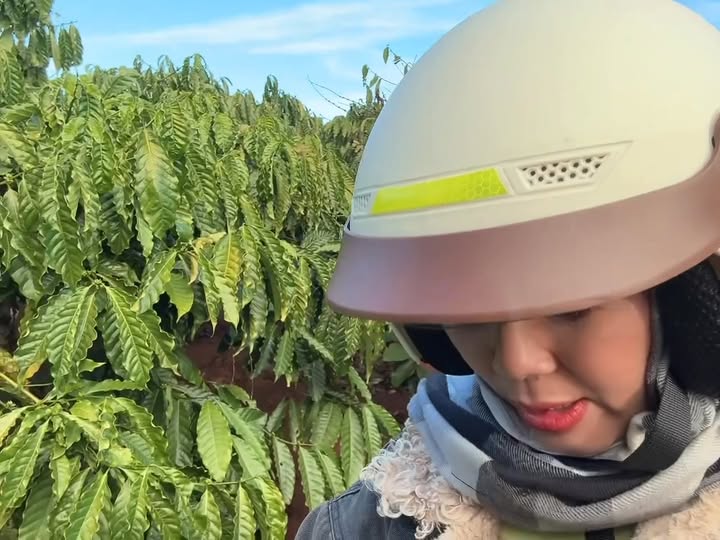 Đất vườn 5 sào tại Kon Gang, Đăk Đoa, Gia Lai giá 127.5 triệu - Cơ hội đầu tư tốt!