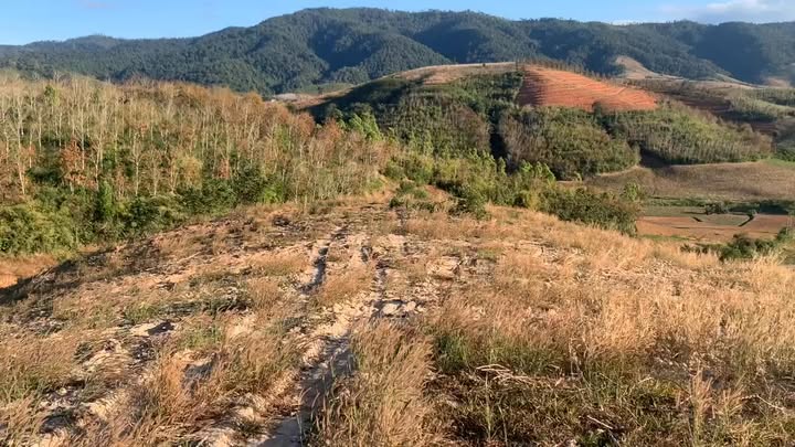 Đất nền 60.000m² tại Đắk Tờ Re, giá thỏa thuận - Cơ hội đầu tư sinh lời!