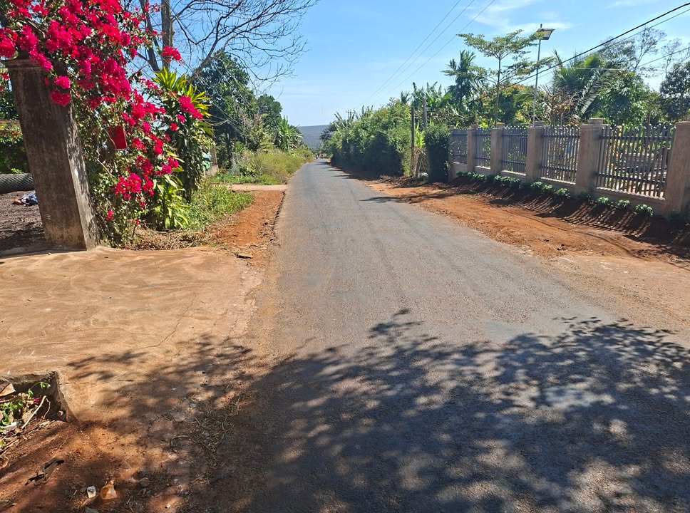 Đất nền lô góc 7x25m tại Quốc lộ 14, Xã Ia Pal - Tiềm năng kinh doanh sáng giá!