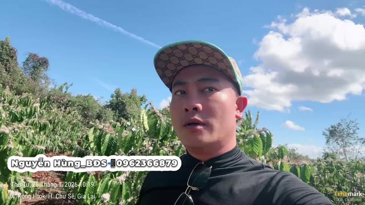 Farm đất đẹp tại Thị trấn Chư Sê 2232m² - Đầu tư sinh lời ngay!