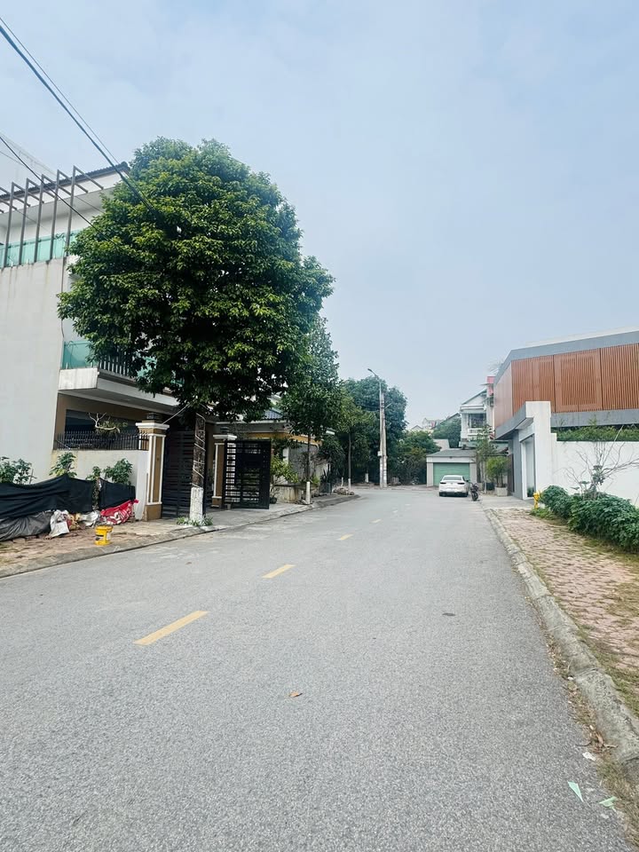 Đất 159m² Trục Chính Ao Thành Đội - Thọ Sơn, Việt Trì chỉ 7.95 tỷ - Vị trí đắc địa!