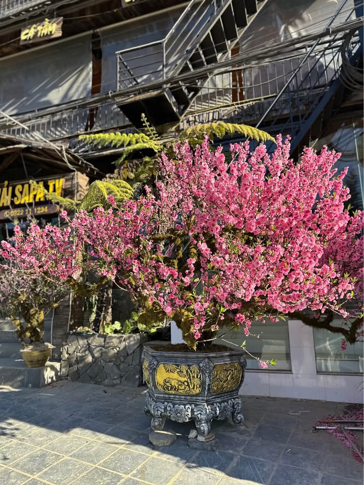 Đất nền Phường Thịnh Đán 400m² giá thỏa thuận - Đầu tư sinh lời ngay!