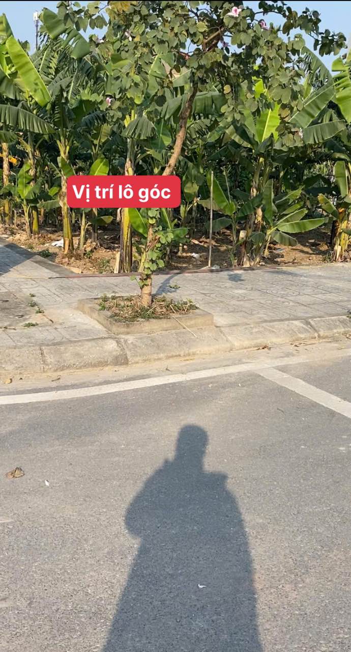 Đất nền Phường Hà Lầm, Hạ Long 105m² giá 3 tỷ - Cơ hội vàng cho nhà đầu tư!