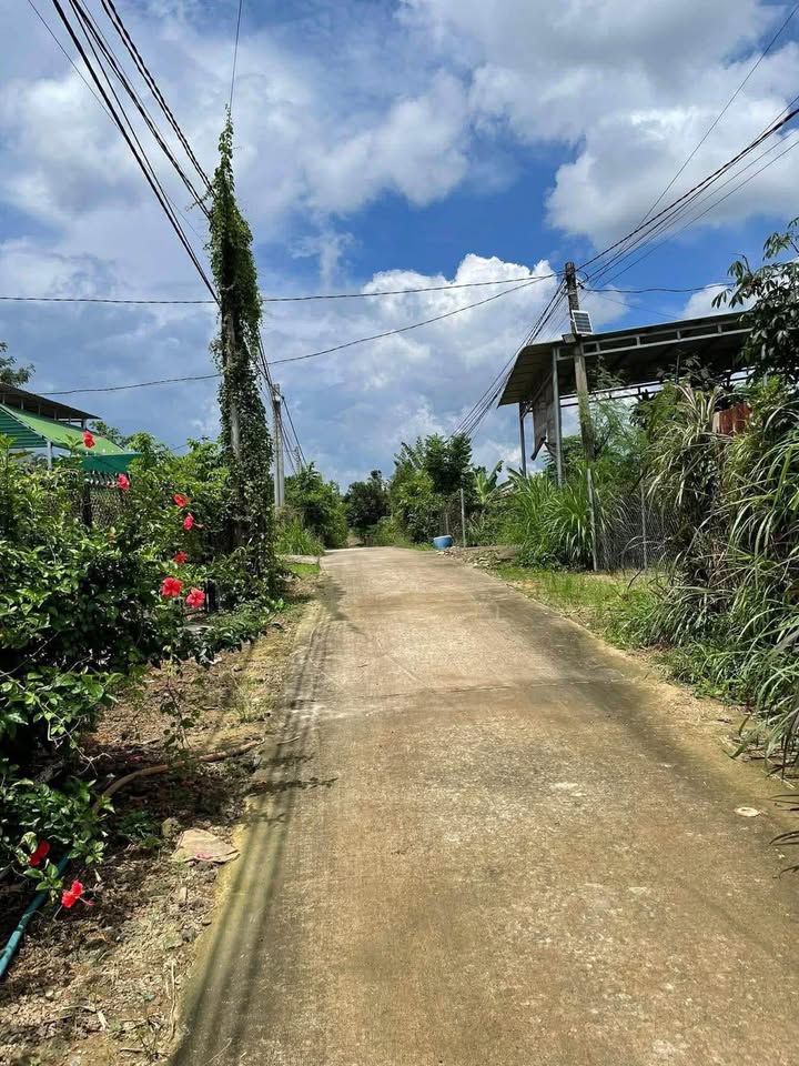 Bán gấp FrontHouse mặt tiền đường bêtông Trà Cổ - Diện tích 121m² chỉ 750 triệu!