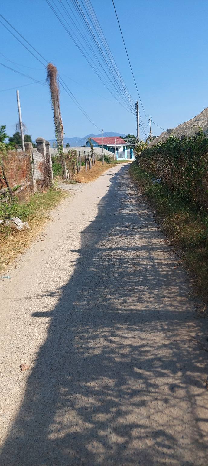 Đất lúa Ninh Quý 1, Ninh Hòa 6.354m² giá 920 triệu - Cơ hội đầu tư hấp dẫn!