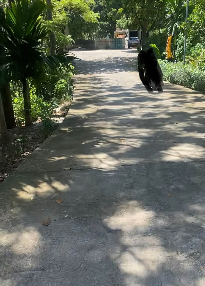 Đất Tổ 8 Tân Hà, TP Tuyên Quang 100m² - Nở hậu, giá tốt thỏa thuận!