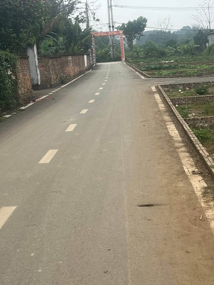 FrontHouse Tỉnh lộ 416, Sơn Tây 100m² giá 2.1 tỷ - Đầu tư sinh lời tốt!