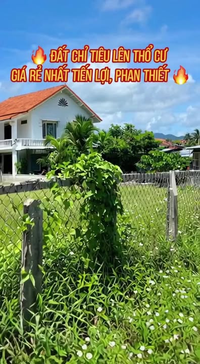 Đất nền Tiến Lợi, Phan Thiết 100m² giá chỉ 230 triệu - Cơ hội vàng đầu tư!