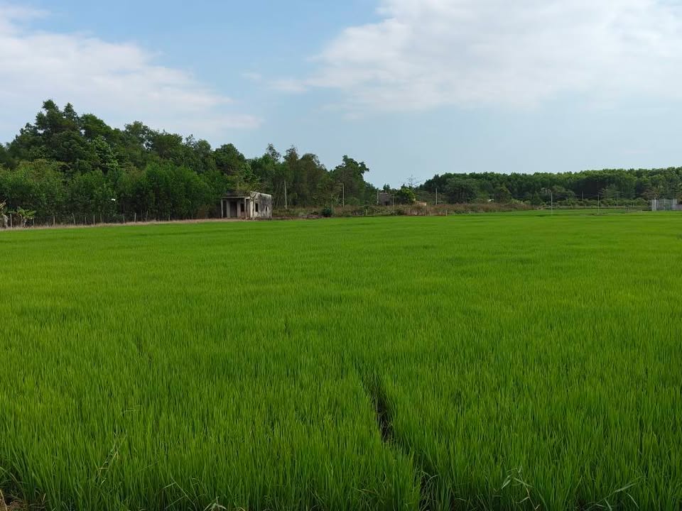 Lô đất Farm 11.160m² tại Bàu Lâm, Xuyên Mộc - Giá chỉ 2.999 tỷ - Tiềm năng phát triển vượt bậc!