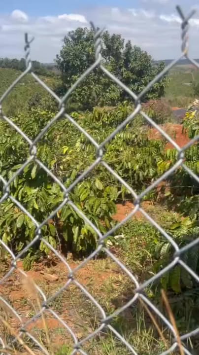 Đất nền 54,000m² tại Đắk Búk So, Tuy Đức - Sổ đỏ chính chủ, giá 19 tỷ!