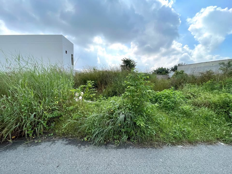 Đất nền Tân Thông Hội, Củ Chi 125m² - Sổ hồng chính chủ, giá thỏa thuận!