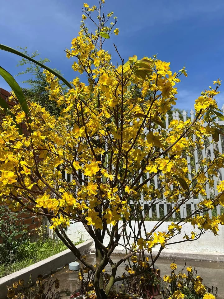 Kho xưởng mặt tiền đường TL15, Củ Chi 900m² - Đầu tư sinh lời ngay!