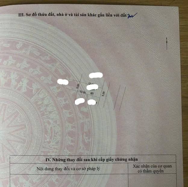 Đất đấu giá Kiến Hưng 60m² giá chỉ 1x tỷ - Mặt tiền 5m, kinh doanh thuận lợi!