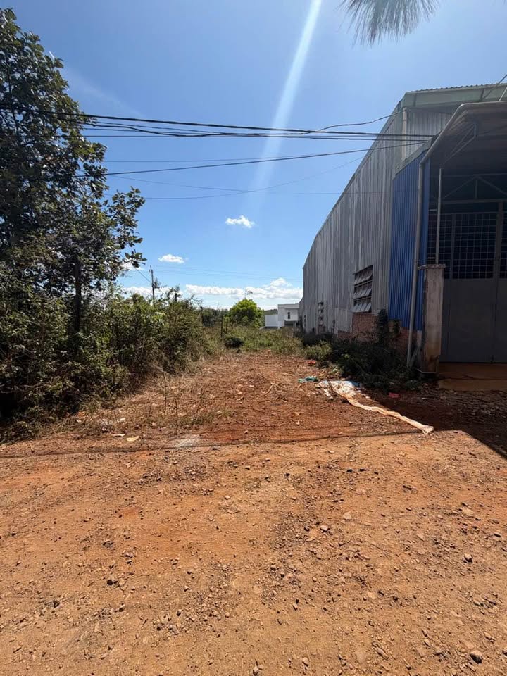 Đất nền hẻm 150 Nguyễn Chí Thanh, Hội Phú 512m² - Giá chỉ 1.6 tỷ!