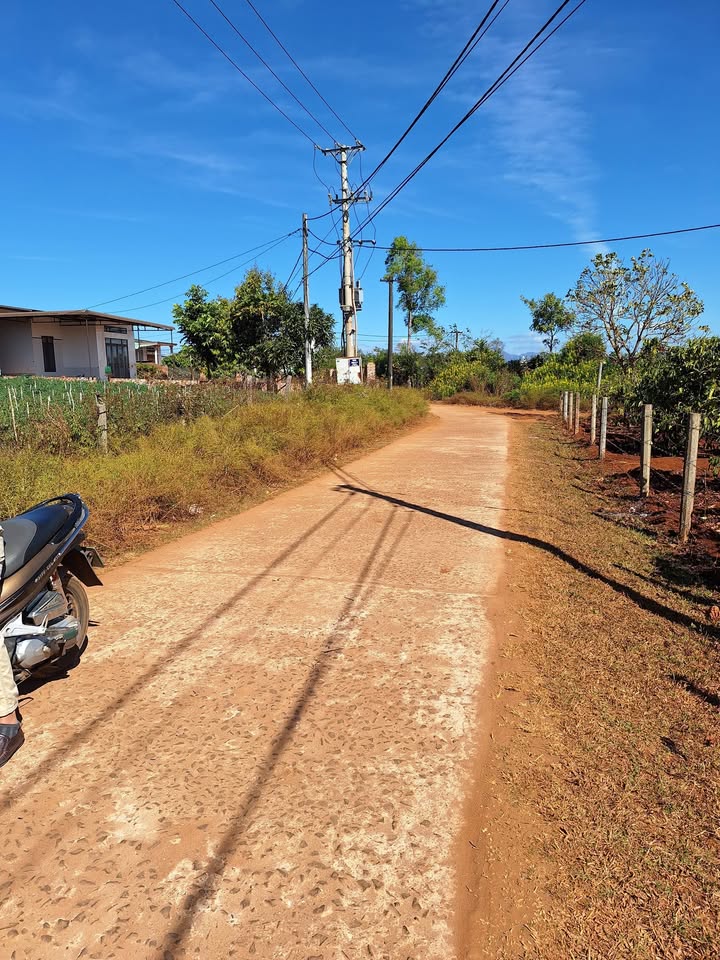 Đất nền Hẻm Trương Định, Đường Tránh Pleiku 410m² - Giá thỏa thuận hấp dẫn!