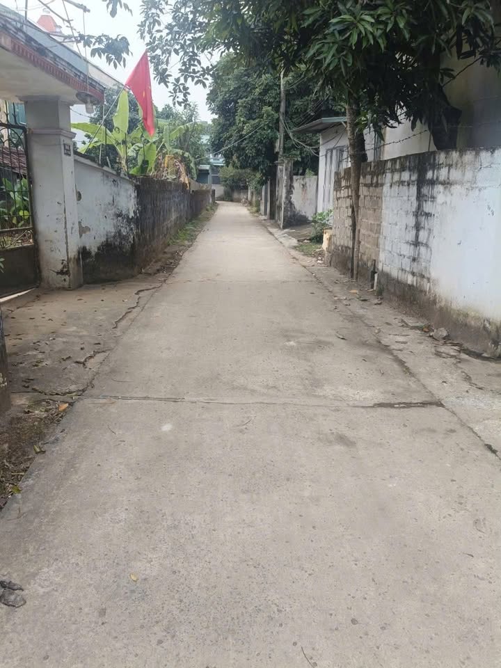 Đất thị trấn Mãn Đức 180m² giá thỏa thuận - Cơ hội đầu tư tuyệt vời!