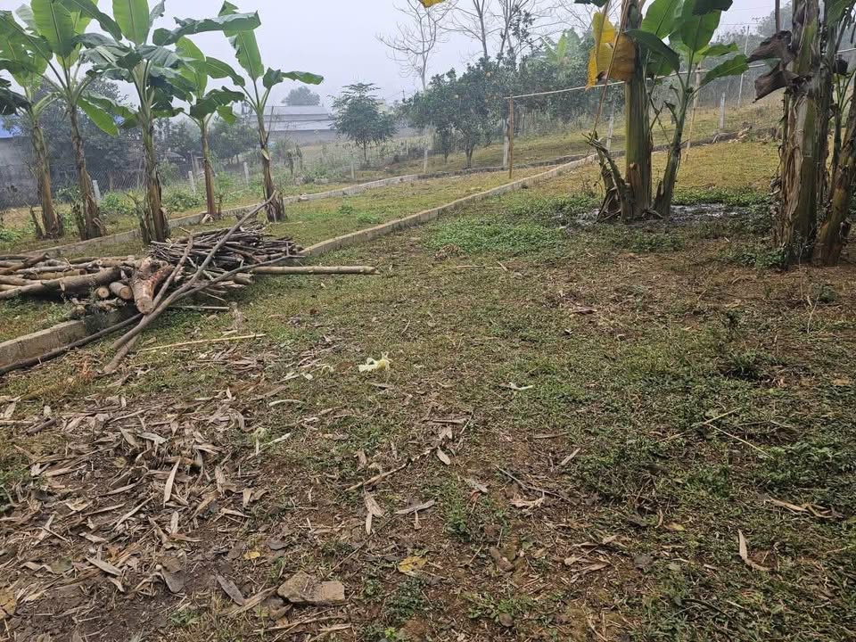 Đất nền Hợp Phong - Cao Phong 121m² giá chỉ từ 300 triệu - Sổ đỏ riêng từng lô!