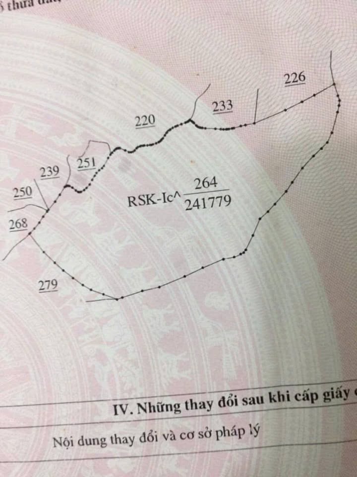 Farm 10ha Lương Sơn Hòa Bình - Đầu tư trang trại lý tưởng!