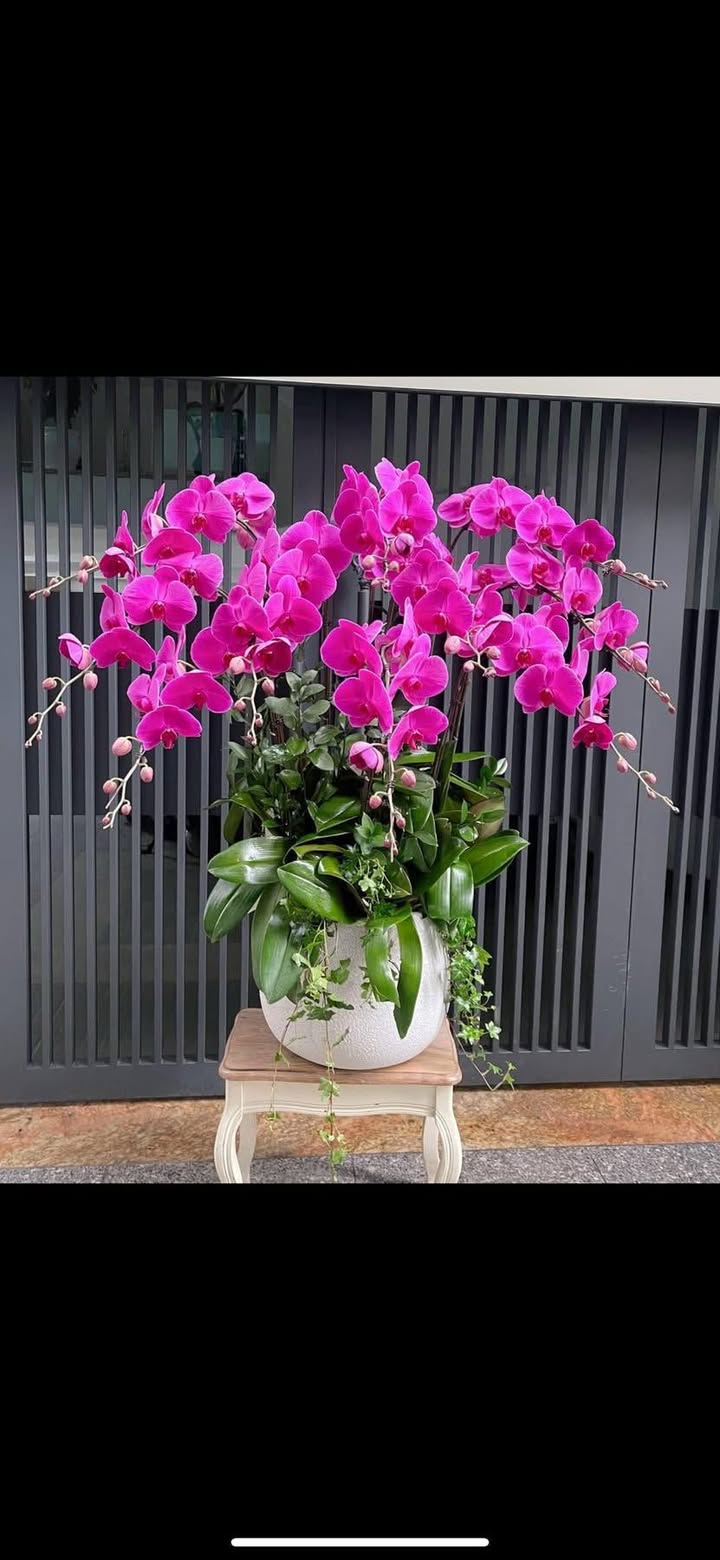 Căn hộ Vinhomes Smart City Tây Mỗ 45m² giá 3.8 tỷ - Sẵn sàng vào ở!