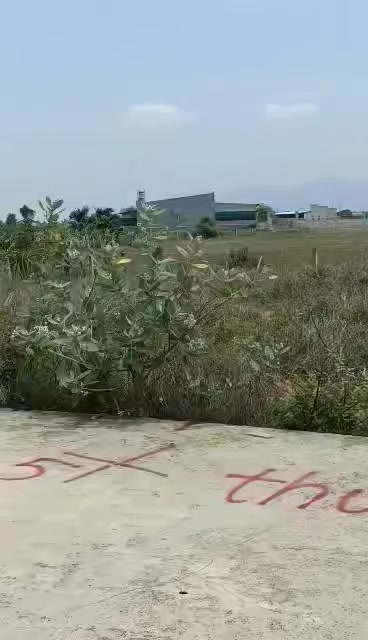 Đất thổ cư 134m² Hàm Liêm - Giá chỉ 750 triệu - Sổ hồng chính chủ!