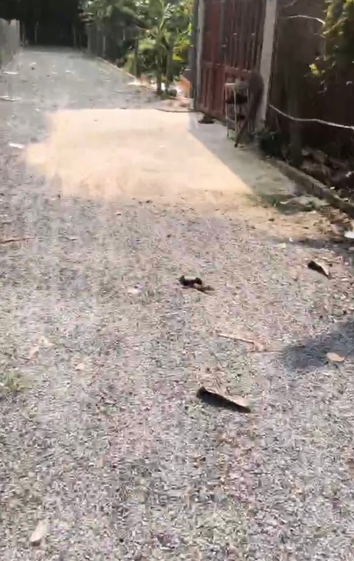 Đất thổ cư 110m² tại Bình Nhâm, 1.8 tỷ - Gần trường tiện lợi!