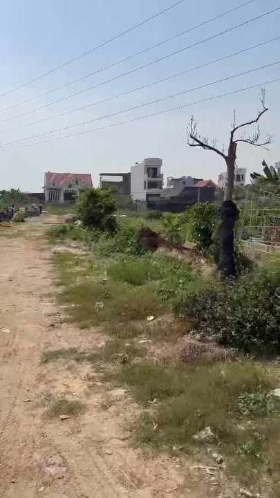 Đất nông nghiệp 3100m² đường Hoàng Thế Trung - Cơ hội đầu tư hấp dẫn!