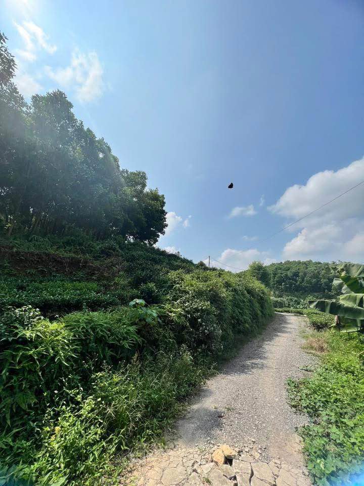 Đất thổ cư 200m² Xã Trung Lương giá chỉ 1 tỷ - Ô tô vào thoải mái!