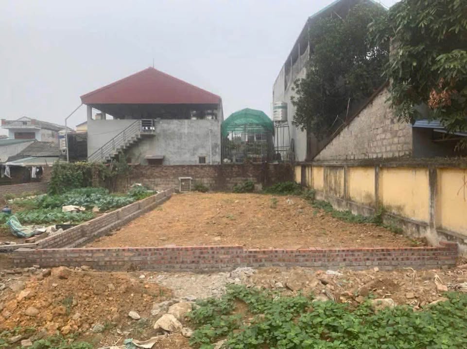 Lô đất thổ cư 123m² gần DANKO - Đầu tư sinh lời hấp dẫn!