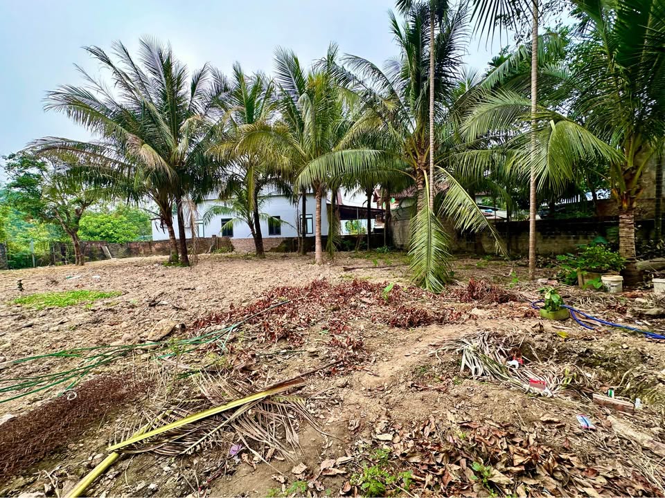 Đất nghỉ dưỡng Thị trấn Hợp Châu 533m² giá 5 tỷ - Sổ đỏ rõ ràng!