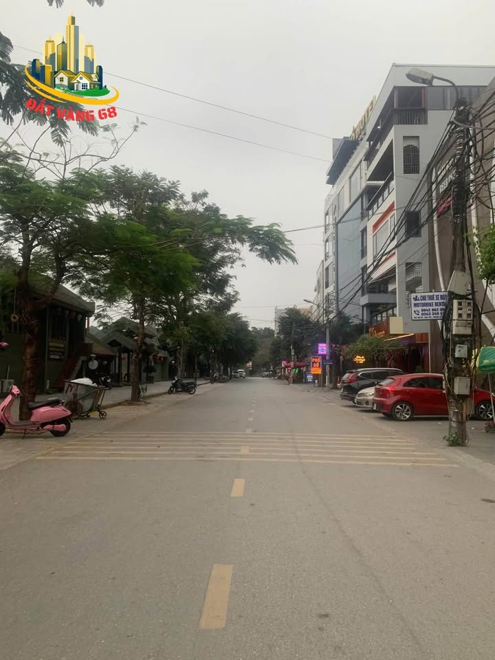 Đất nền Phố Cổ Hoa Lư, Ninh Bình 220m² - Vị trí đắc địa, giá thỏa thuận!