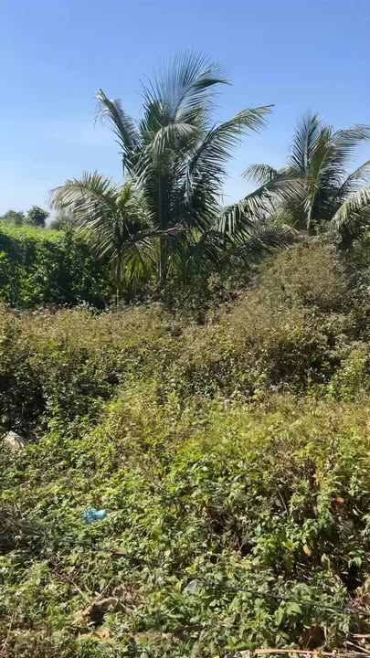 Đất nền 1540m² xã Ea Na - Bán gấp chỉ 15.4 tỷ VND