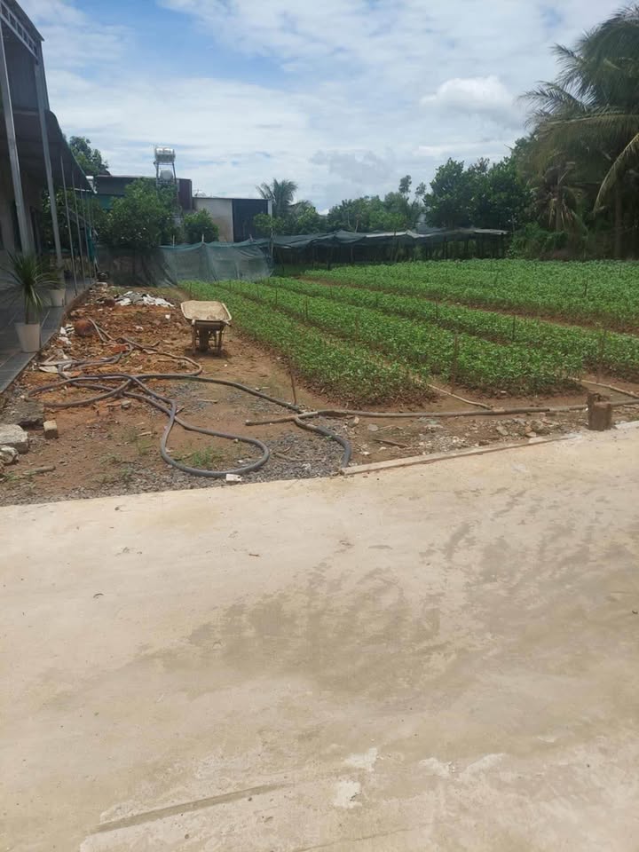 Đất nền xã Phú Lâm, huyện Tân Phú, 408m² giá 20.4 tỷ - Cơ hội đầu tư sinh lời!