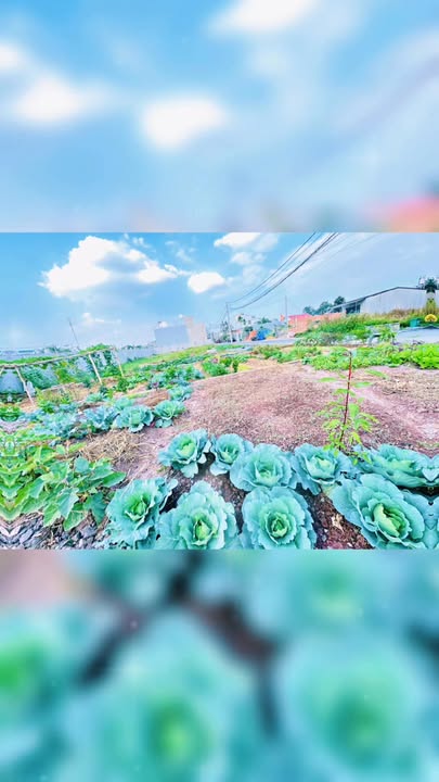 Nhà phố KP4 An Hòa, P. Long Hưng 85m² giá 2.45 tỷ - Sổ hồng chính chủ!