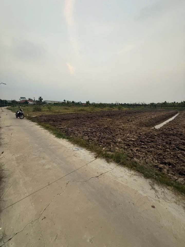 Đất lúa 1.000m² xã An Lục Long, Châu Thành - Giá chỉ 560 triệu!